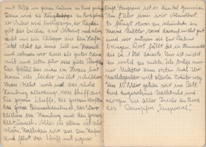 Diario de Joachim Rosenberg, registro de viaje desde Alemania a Chile, en la Compañía Sudamericana de Vapores, 1938 - 1939. (III)