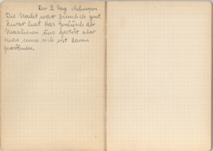 Diario de Joachim Rosenberg, registro de viaje desde Alemania a Chile, en la Compañía Sudamericana de Vapores, 1938 - 1939. (IV)